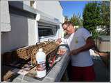 Entretien des jardinières en rotin, 28 septembre 2019