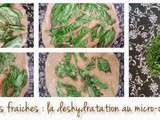 Herbes fraîches : la déshydratation au micro-ondes