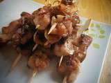 Yakitori de poulet aux 5 parfums