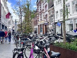 Pays-Bas avant de partir ce qu’il faut savoir