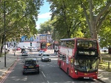 Voyager à Londres au printemps : la meilleure saison pour découvrir la ville
