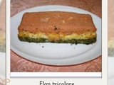 Flan tricolore aux couleurs de l’Italie simple et rapide
