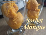 Sorbet à la mangue - La Machine à Explorer