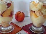 Trifle aux nectarines - La Machine à Explorer