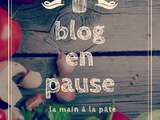 Blog en pause