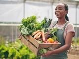 Comment cuisiner à la maison grâce aux box alimentaires