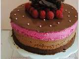 Entremets chocolat framboises