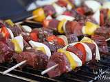 Brochettes de Boeuf Marinées à la Fève Tonka