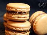 Macarons Noisettes & Pralinoise