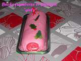 Bûche framboise et pistache  girly 