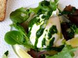 Burrata, coulis de roquette et citron