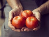 Tomates, stars de la cuisine estivale