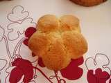 Biscuits au pistolet