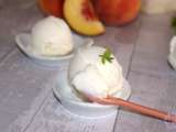 Glace au yaourt (Thermomix)