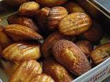 Madeleines aux fruits confits