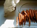 Carottes fermentées de Magnus Nilsson