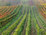 Faut-il viser une propriété de production ou une propriété d’image dans les Bouches-du-Rhône