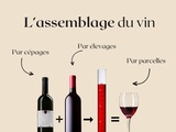 🧪 🍷 l’art de l’assemblage du vin