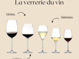 🍷 La verrerie du vin et nos meilleurs verres en 2024