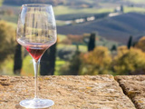 Meilleurs vins rouges italiens