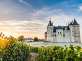 Pourquoi célébrer vos événements avec les vins des Pays de la Loire