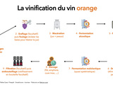 Qu’est-ce que le vin orange ? 🤔