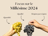 🌀 Quelle qualité pour les vendanges 2024