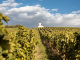 Tokaji : 7 choses à connaitre sur ces vins hongrois