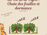 Vie de la Vigne Chapitre 5 : Chute des feuilles et dormance