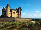 Vignoble en France : guide des 12 régions viticoles françaises