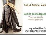 13 ème partenaire: cap ambre vanille