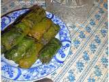 Dolmas aux feuilles de bettes