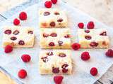 Meyer Lemon & Raspberry Bars