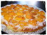 Tarte moelleuse aux abricots