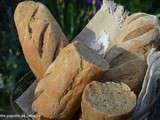 Baguettes de campagne au thermomix