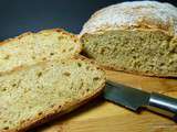  soda bread  de Trish Deseine