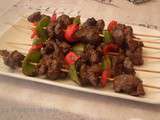 Brochettes de Boeuf, épicées, marinade à la brésilienne au Barbecue