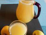 Jus de Pommes au thermomix