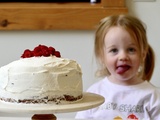 Gâteau aux framboises et aux pépites de chocolat