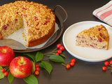 Gâteau streusel aux pommes et framboises
