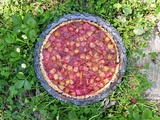 Tarte à la rhubarbe et aux framboises sur croûte de flocons d’avoine