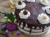 Naked cake aux 2 chocolats