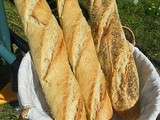 Baguettes traditionnelles (farine Gruau d'Or)