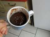 Mug Cake au chocolat