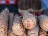 Frites d’igname et quelques trucs et astuces à savoir pour bien cuisiner l’igname