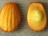 Madeleines :)