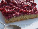 Cake Amande Framboises Sans Gluten et Sans Lactose