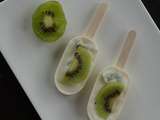 Glace Kiwi Vanille