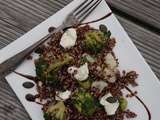 Salade de Quinoa Rouge Brocolis Chou Fleur