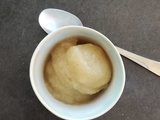 Sorbet Pomme Vanille